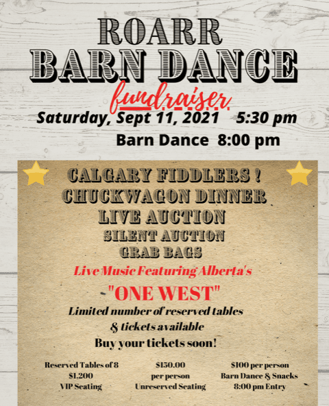 barn-dance barn-dance