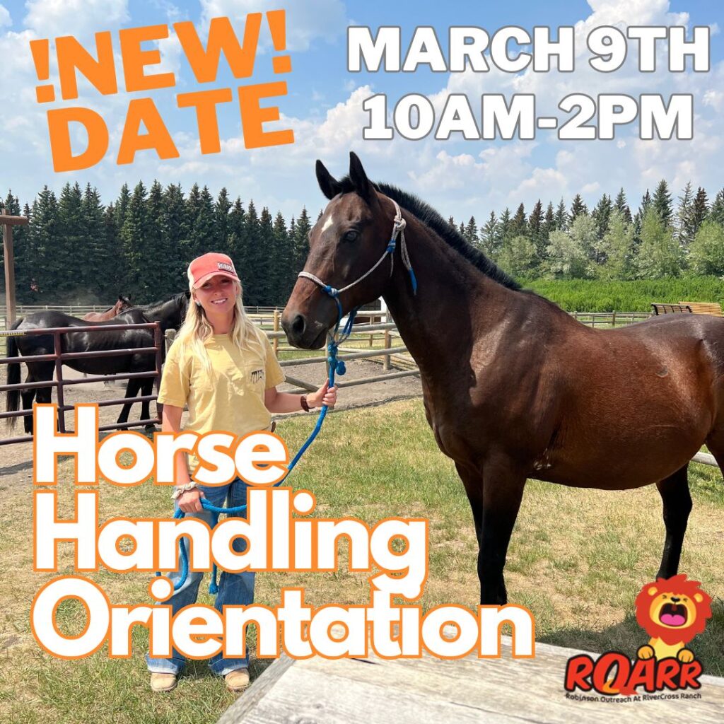 Horse handling orientation new date