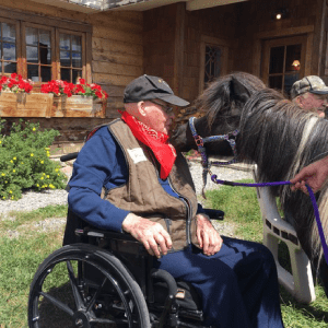 A man in a wheelchair with a horse.